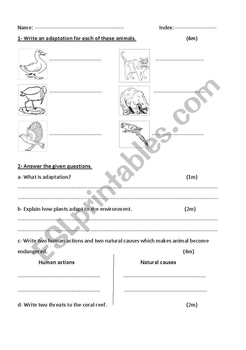 endangered animals worksheet