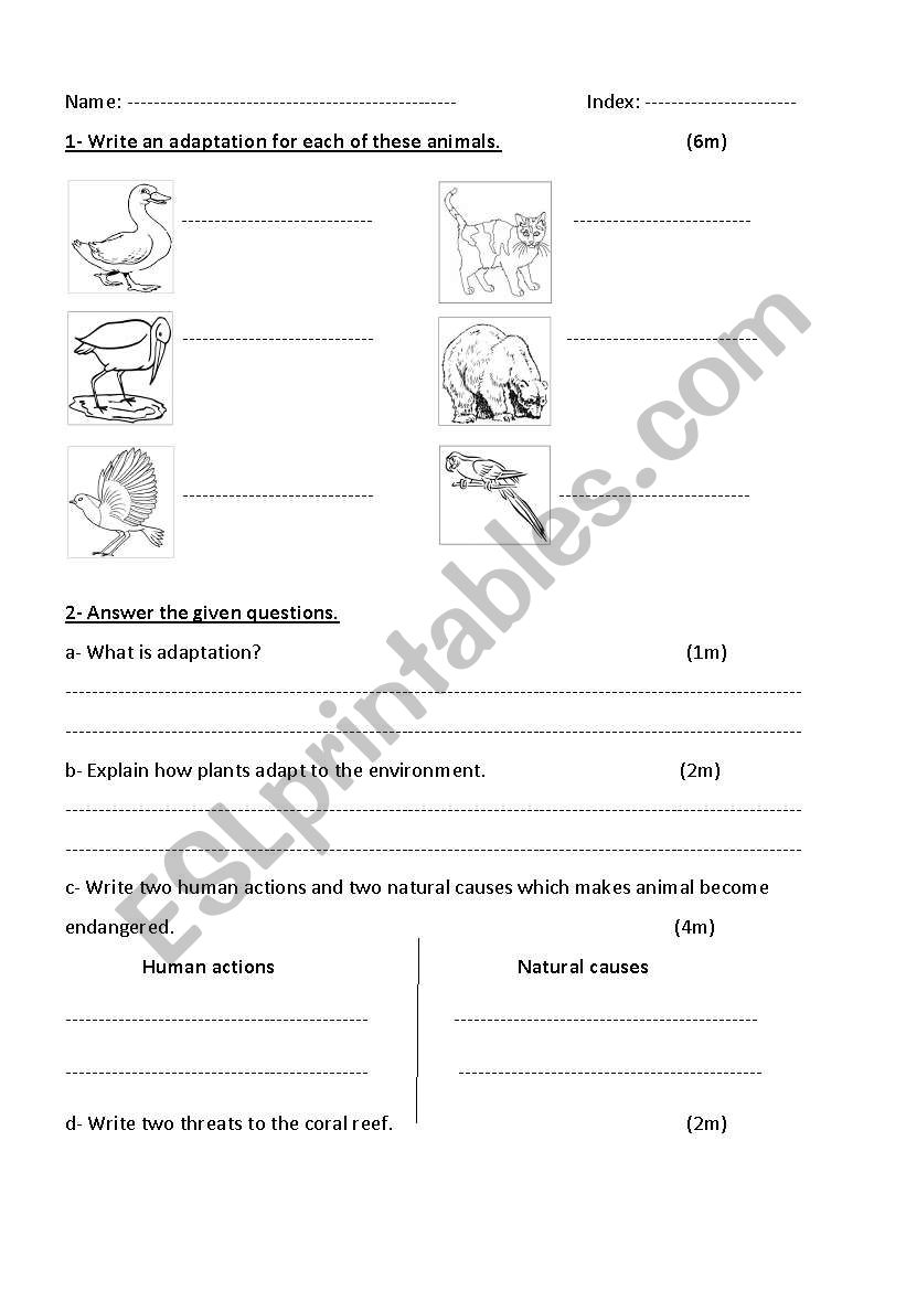 endangered animals worksheet