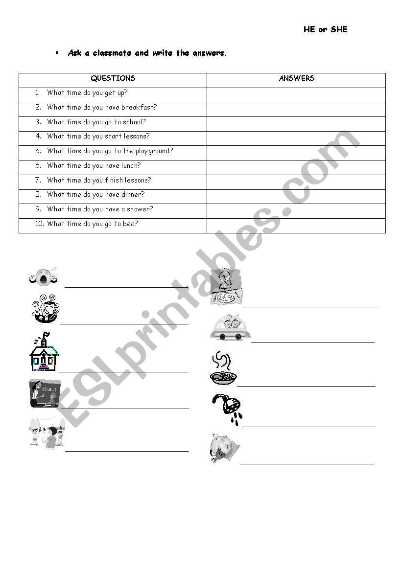 daily routines worksheet