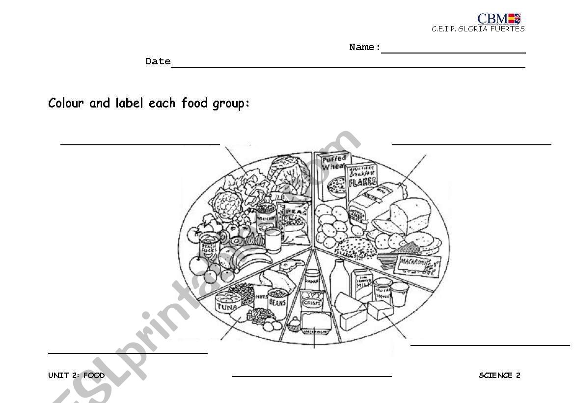 Colour and label the food groups