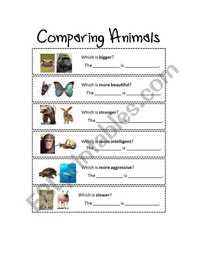 Comparing Animals worksheet