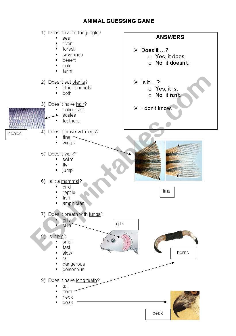 ANIMAL GUESSING GAME worksheet