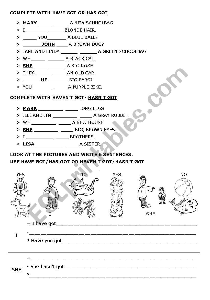 Have got- Has got worksheet