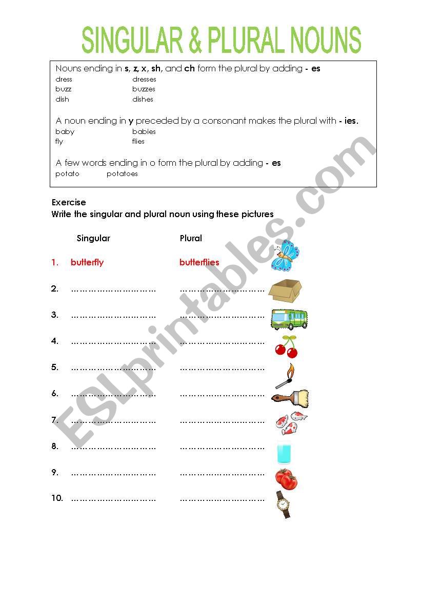 singular & plural noun worksheet