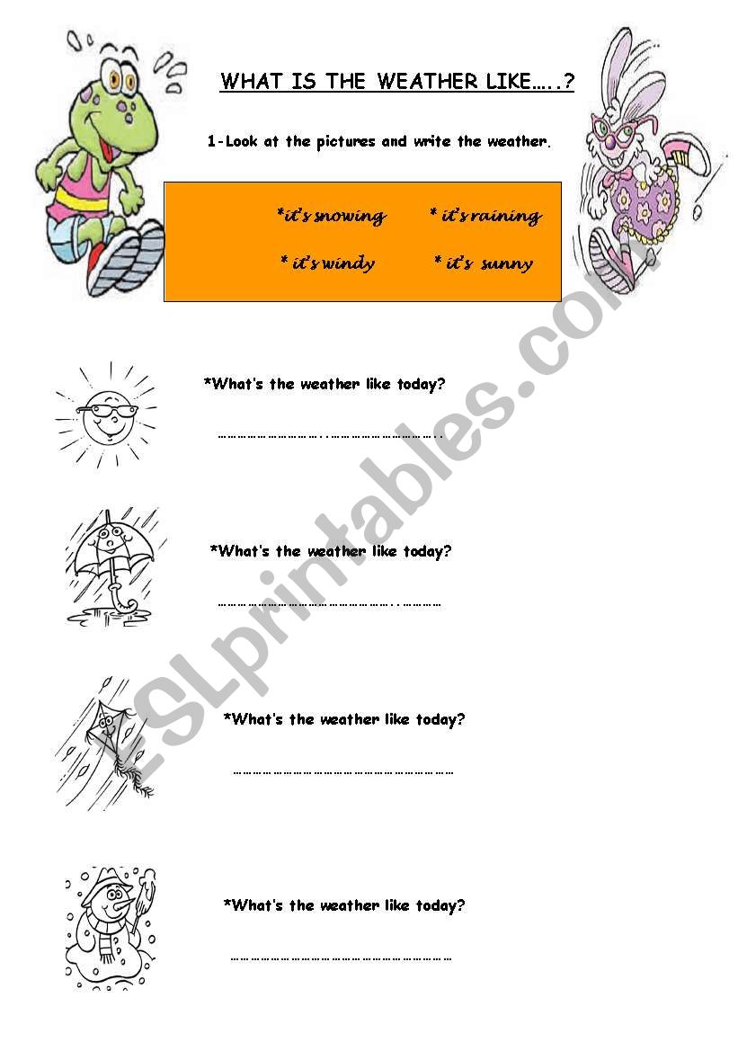 WEATHER CONDITIONS worksheet