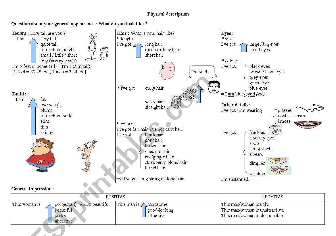 physical description worksheet