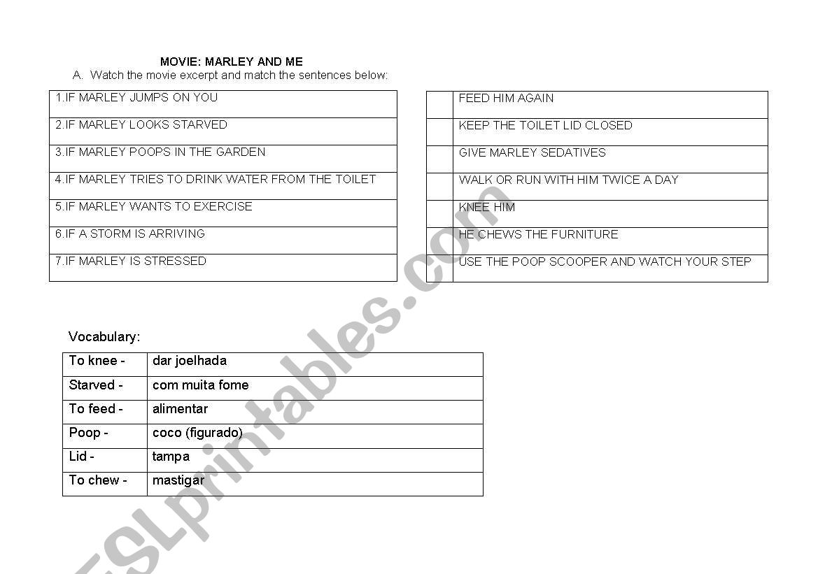 Marley and me worksheet