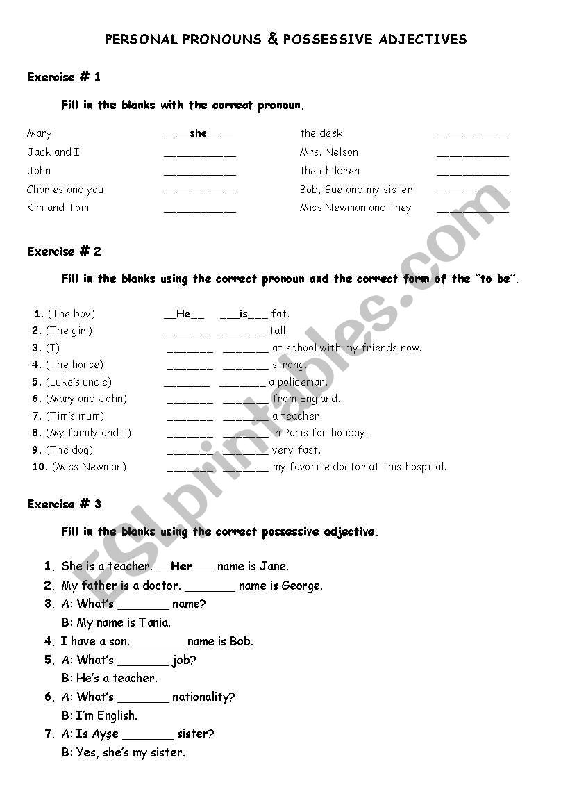 Personal Pronouns and Possessive Adjectives-Exercises