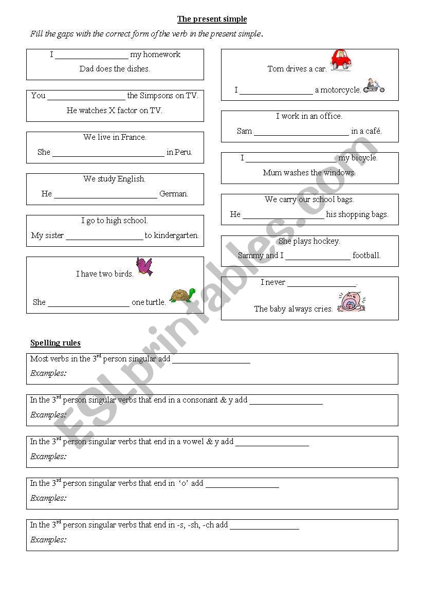 Present simple practice and spelling rules