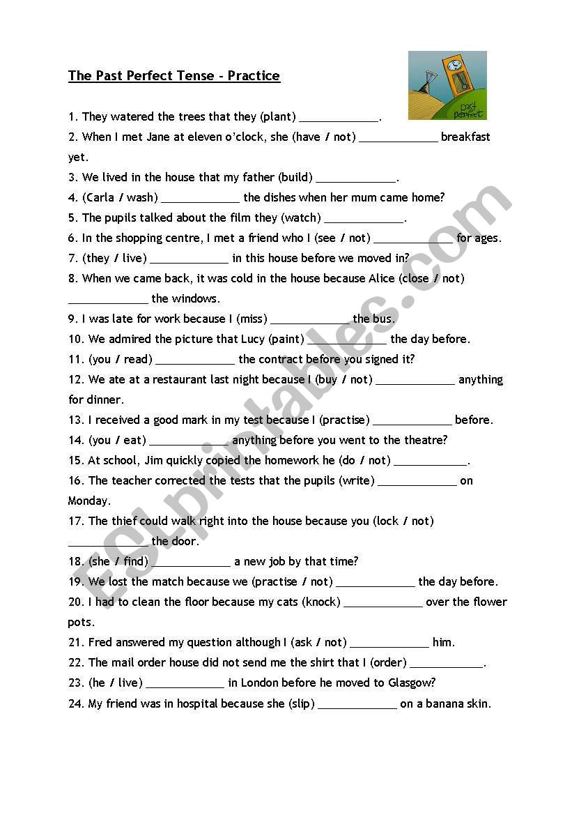 PAST PERFECT - PRACTICE worksheet