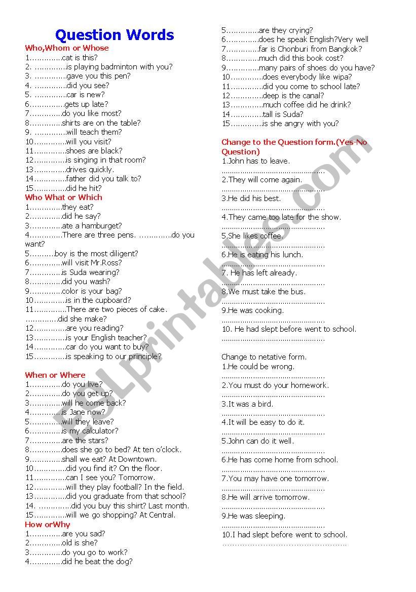 Question word worksheet