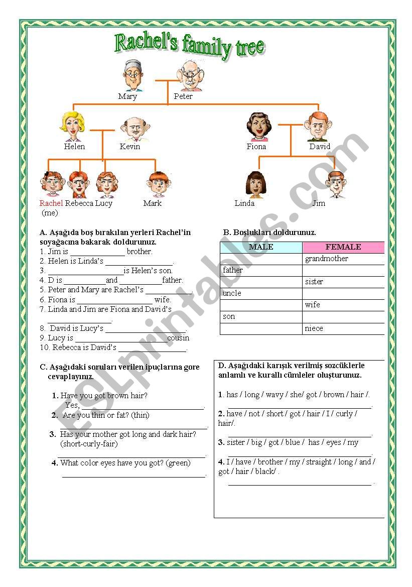 6th grade unit one and two quiz