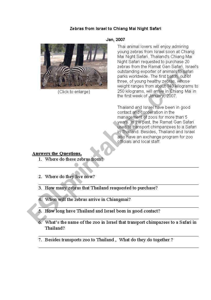 Chiangmai Night zafari worksheet