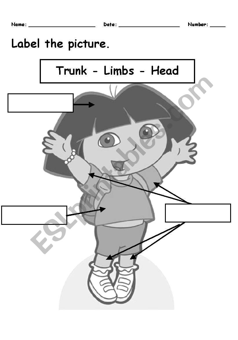 Body parts worksheet