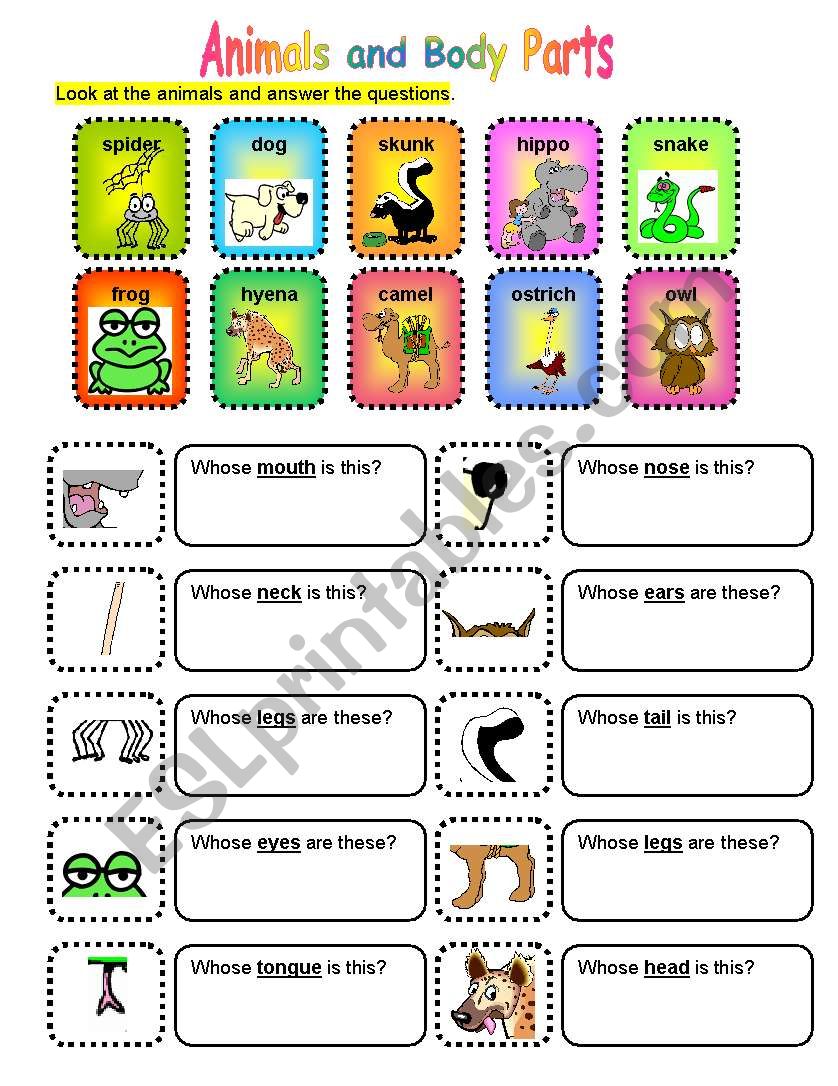 animals worksheet