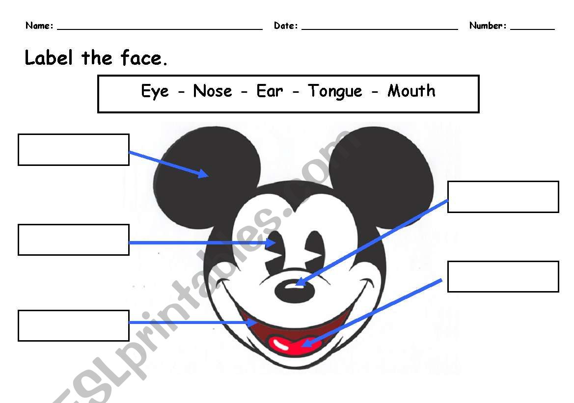 Label the face worksheet