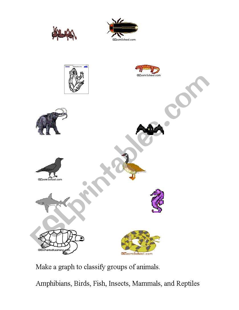 Classifying Groups of Animals worksheet
