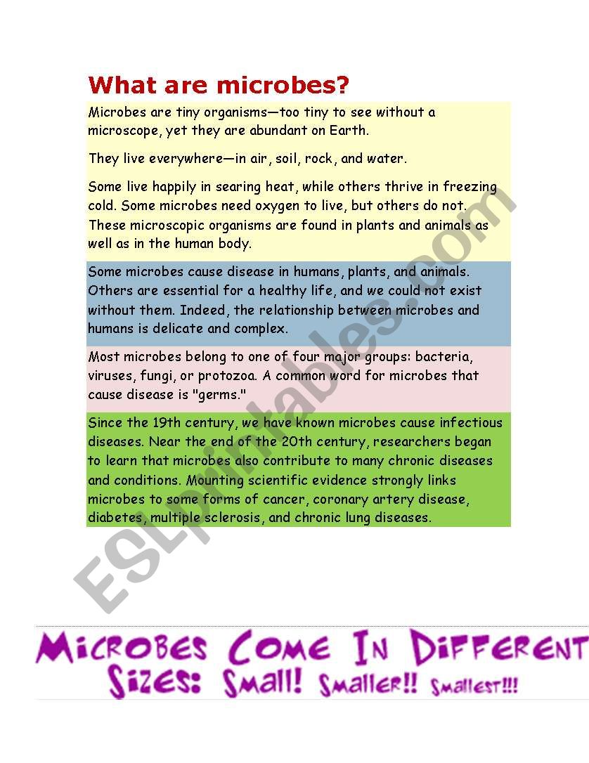 microorganisms worksheet