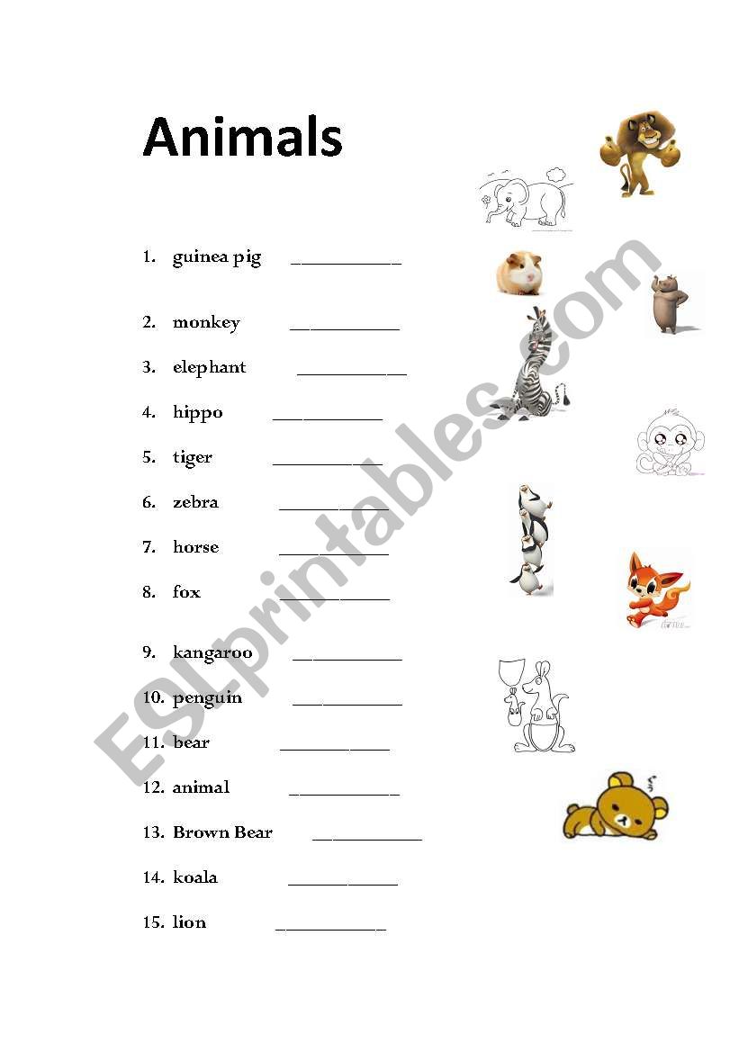 Animals and Fun worksheet