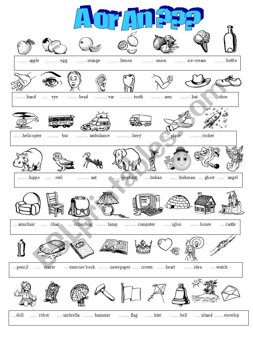 Complete with A or AN !! worksheet