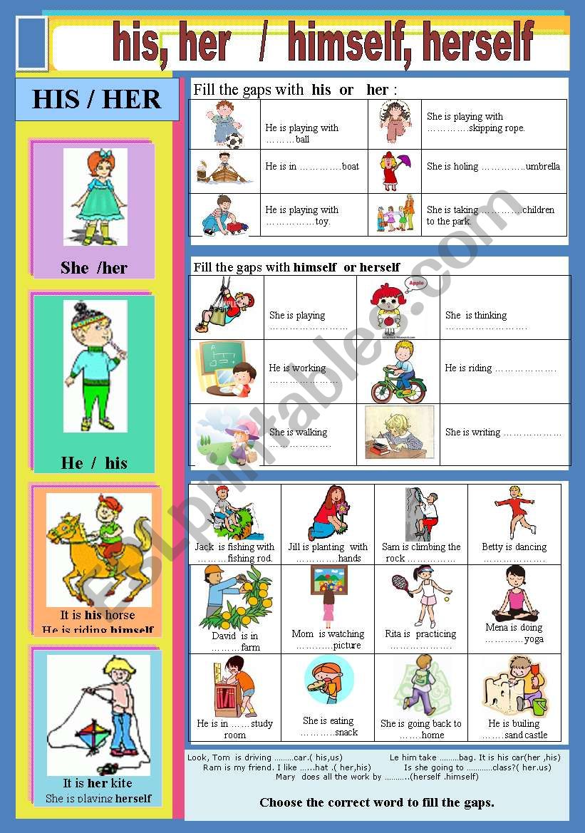 His,Her / himself, herself worksheet