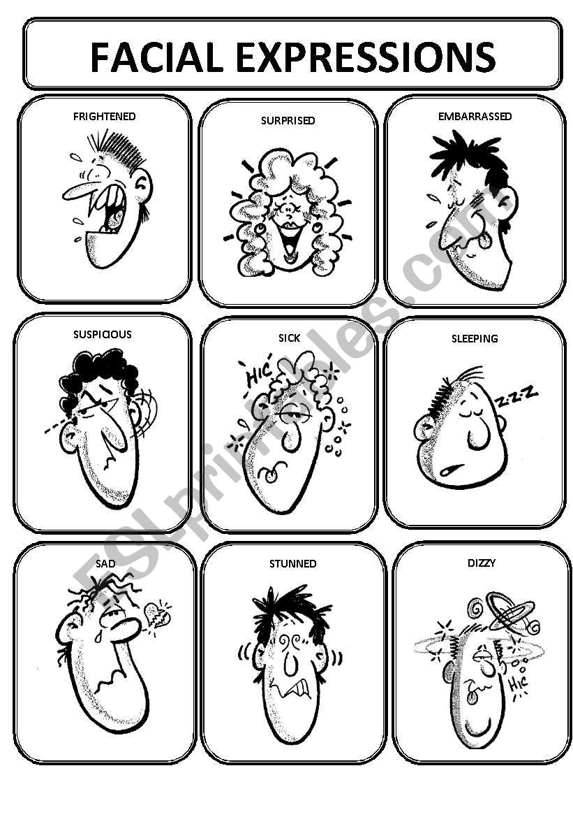 Facial expressions pictionary worksheet