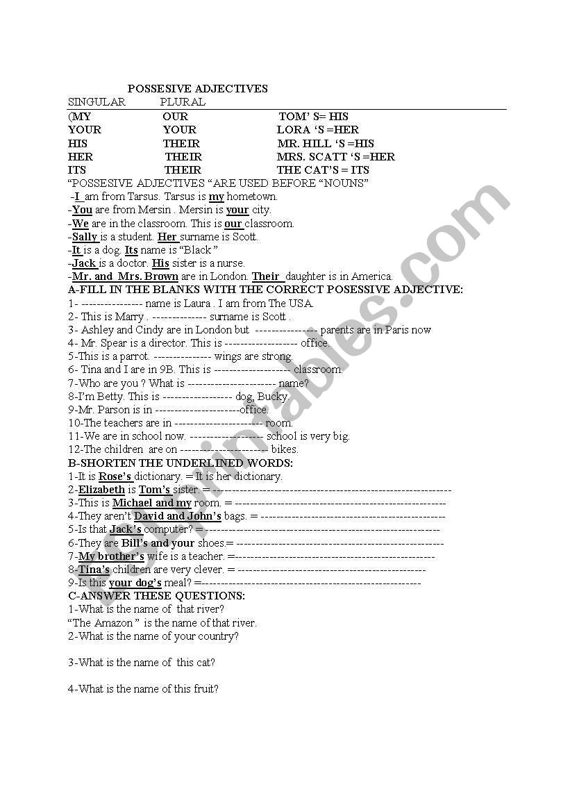 possessive adjectives worksheet