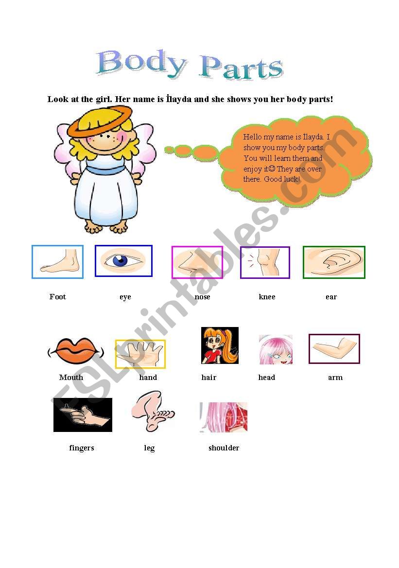 body parts worksheet