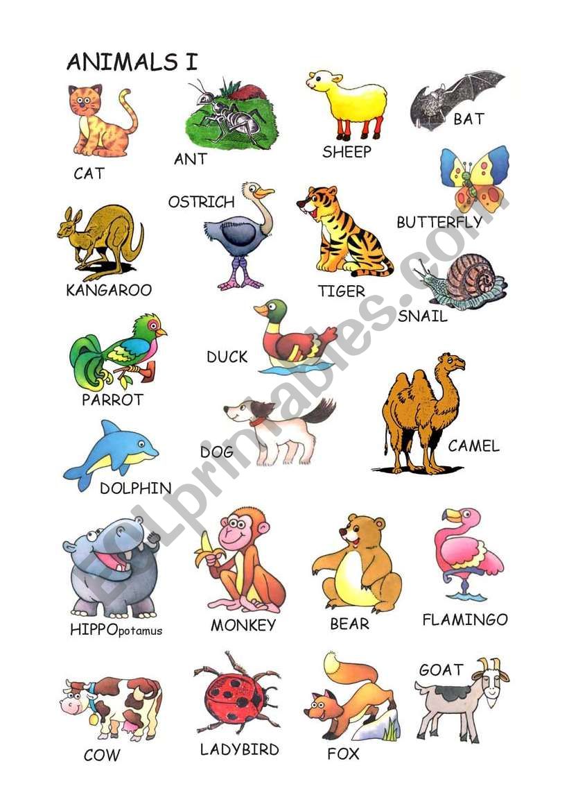 Animals vocabulary worksheet
