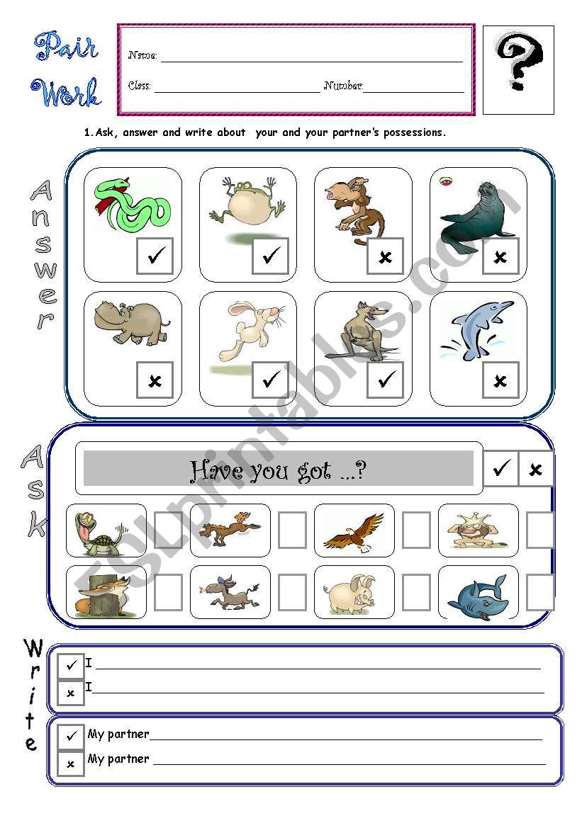 Verb have got: pair work B worksheet