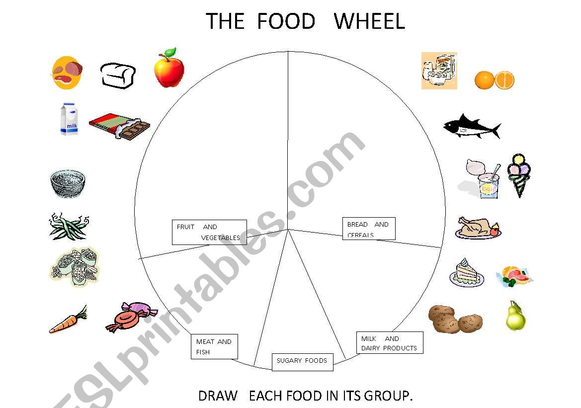 THE    FOOD    WHEEL worksheet