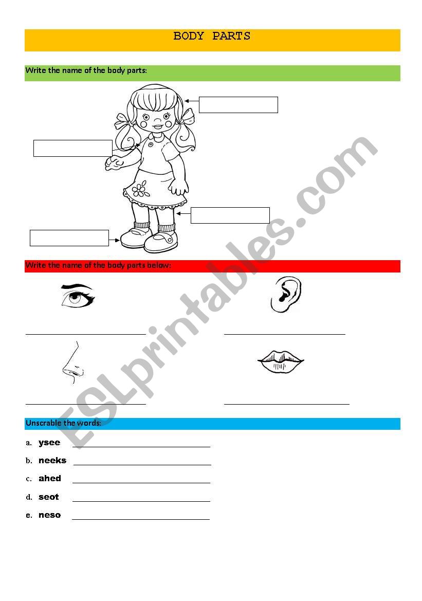 Body Parts worksheet