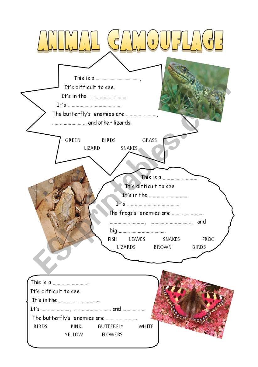 ANIMAL CAMOUFLAGE worksheet