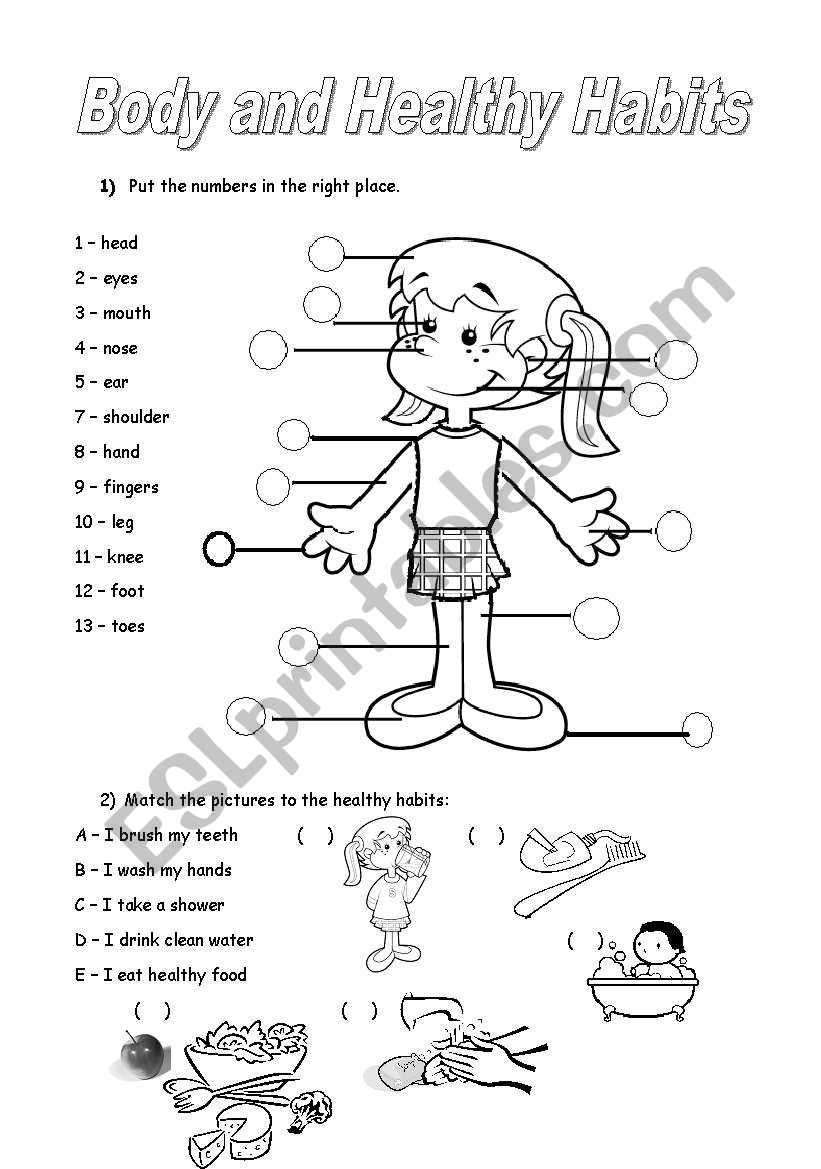 body parts and healthy habits worksheet