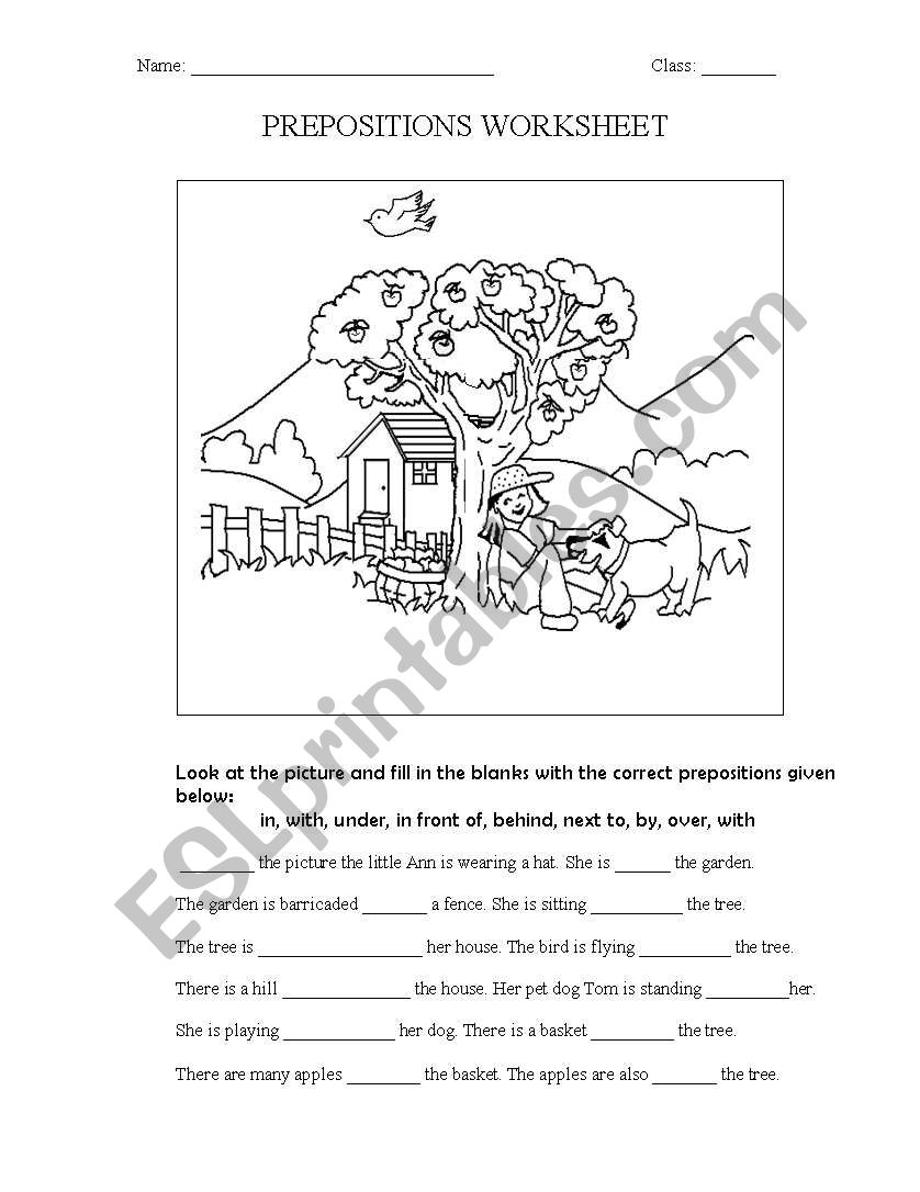 Prepositions worksheet worksheet