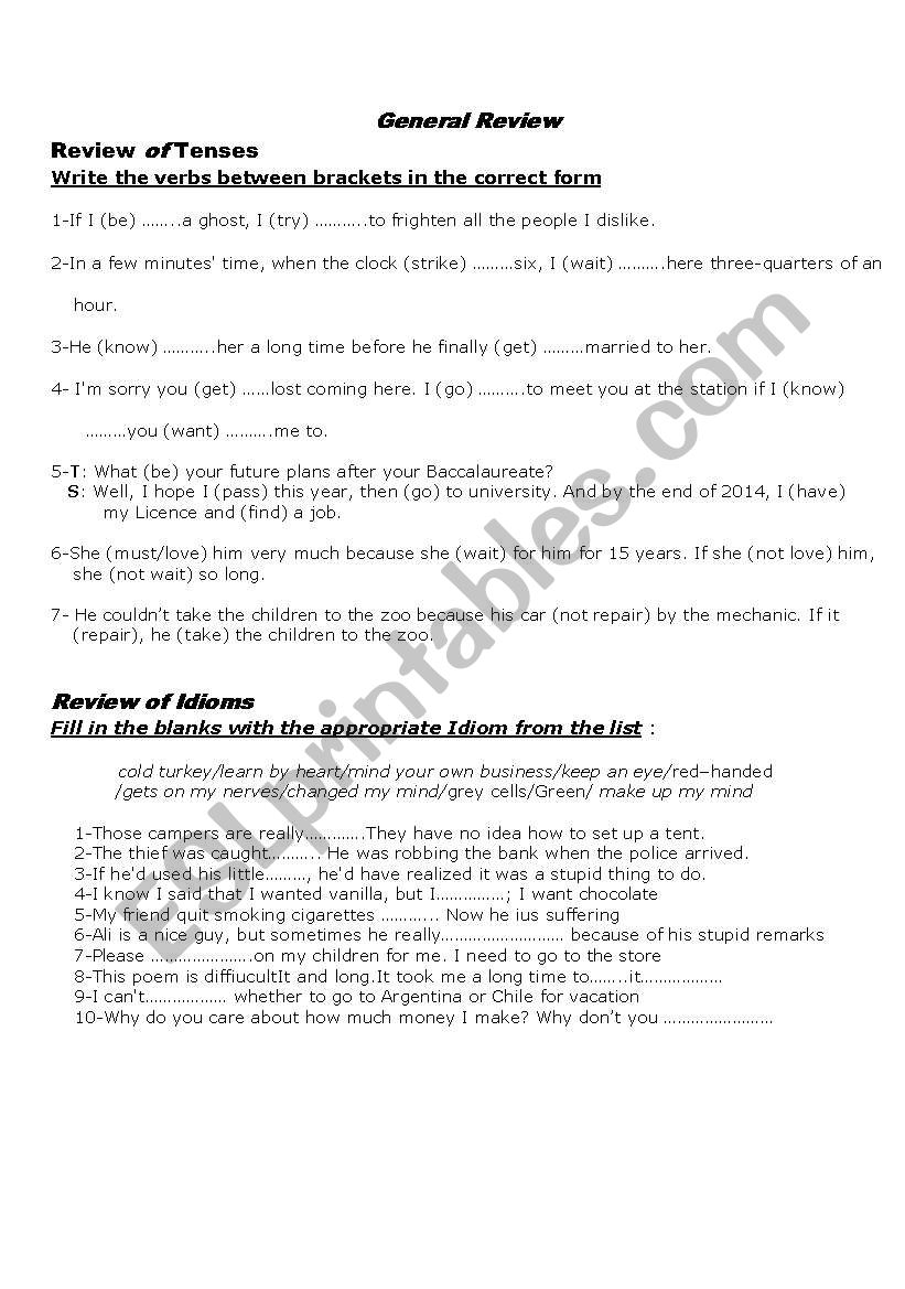 Language Review  worksheet