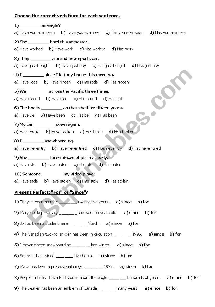 present perfect worksheet