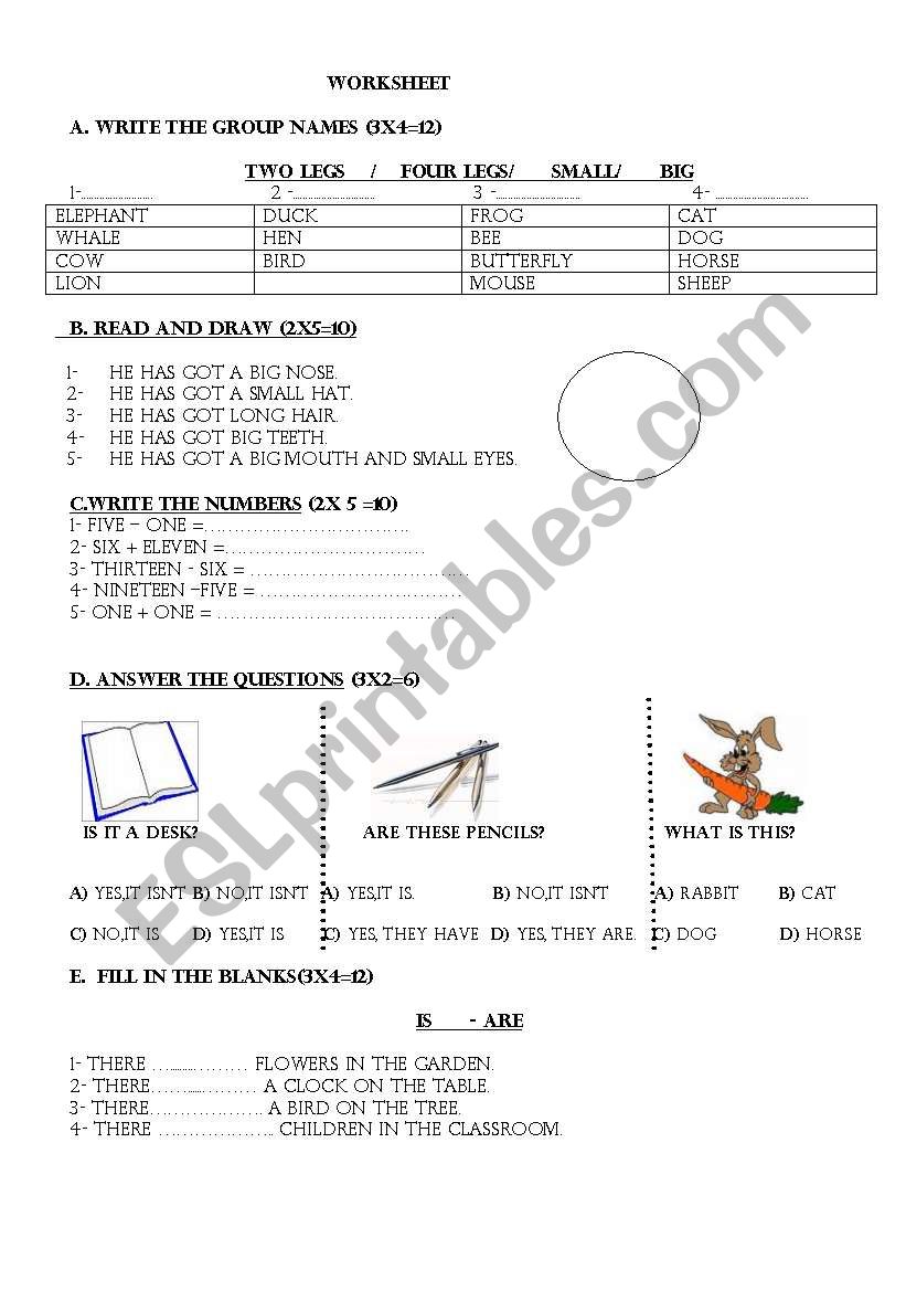 worksheet, exam worksheet