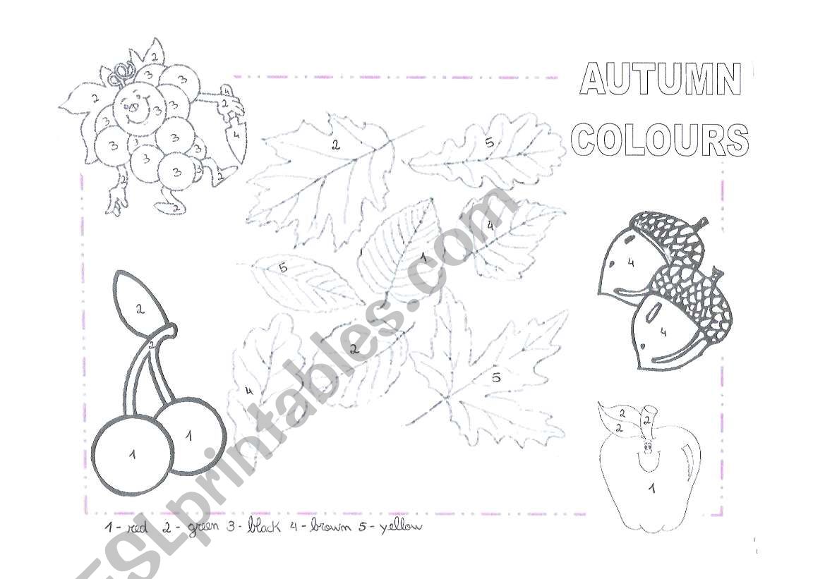 Autumn Colours worksheet