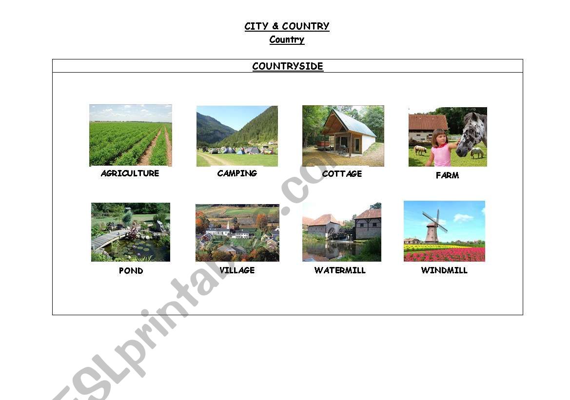 CITY & COUNTRY. COUNTRYSIDE worksheet