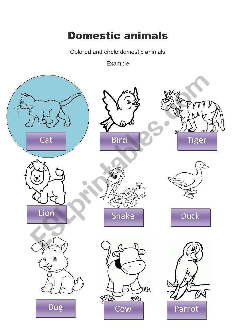 domestic animals worksheet