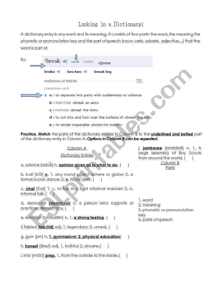 Dictionary Usage worksheet