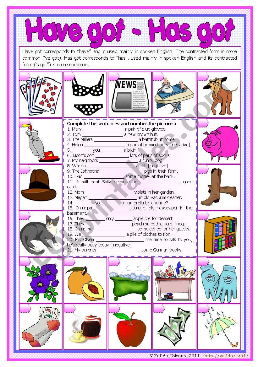 Have got / has got *editable worksheet