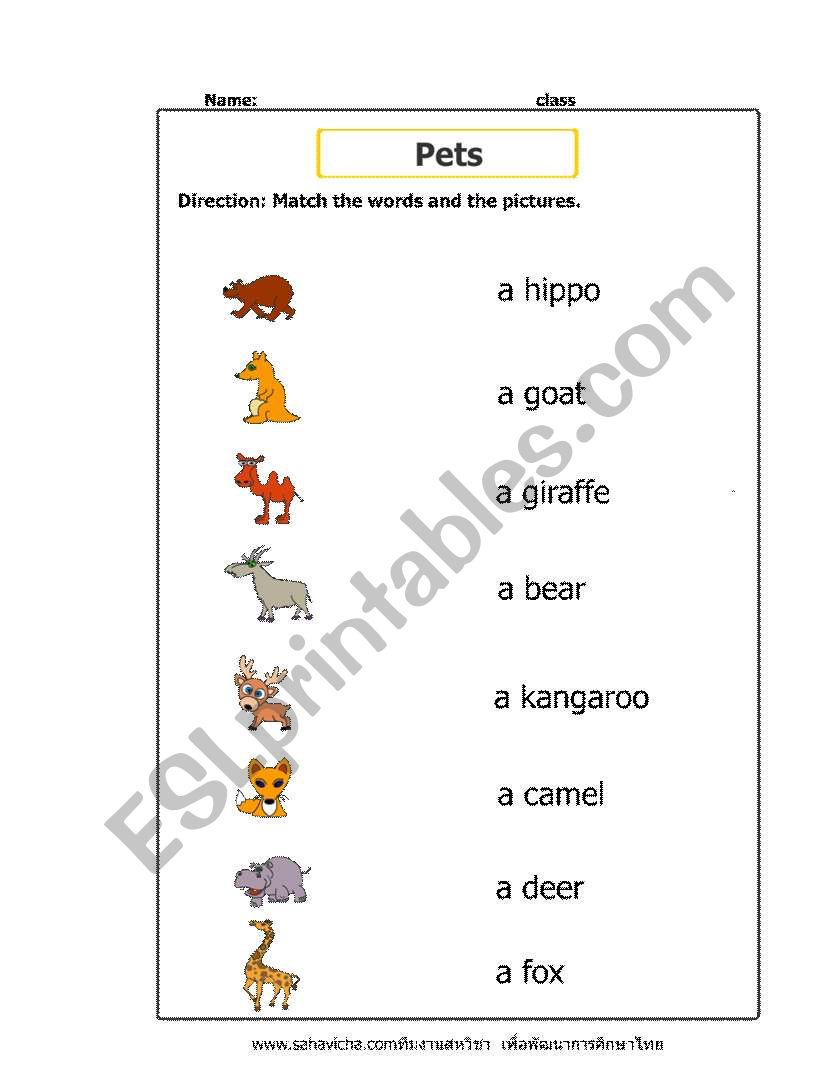 naming animals worksheet