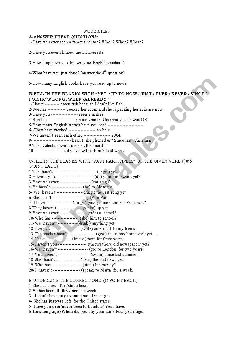 present perfect tense  worksheet