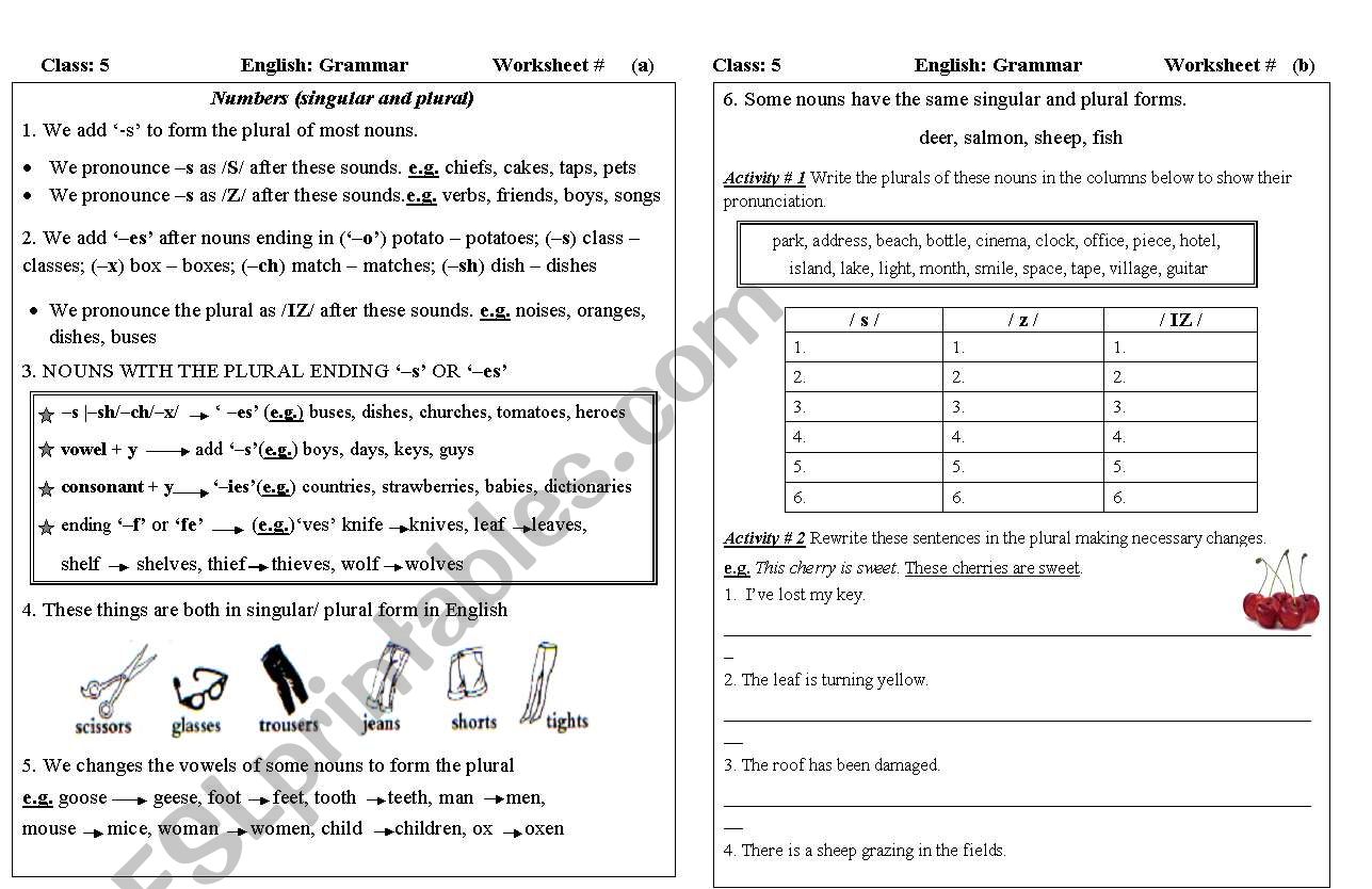 numbers (singular and plural) worksheet