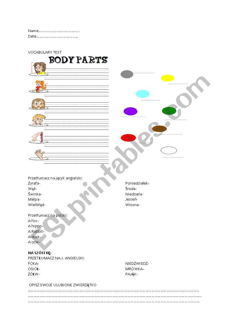 faityland 4 worksheet