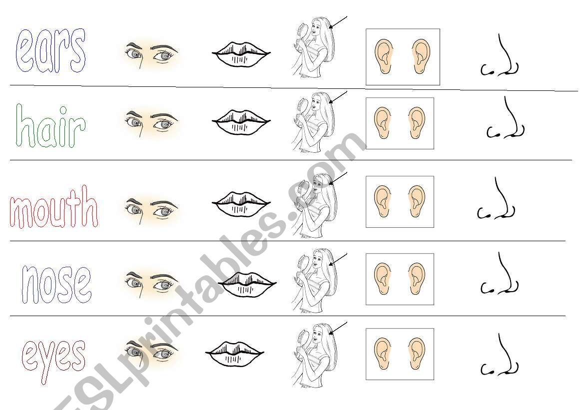 face parts worksheet