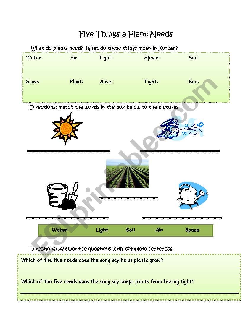 The Five Needs of a Plant worksheet