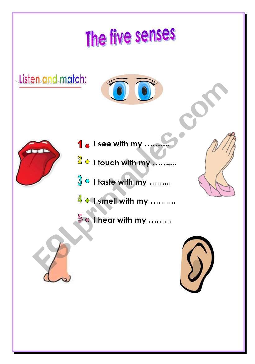 The five senses worksheet